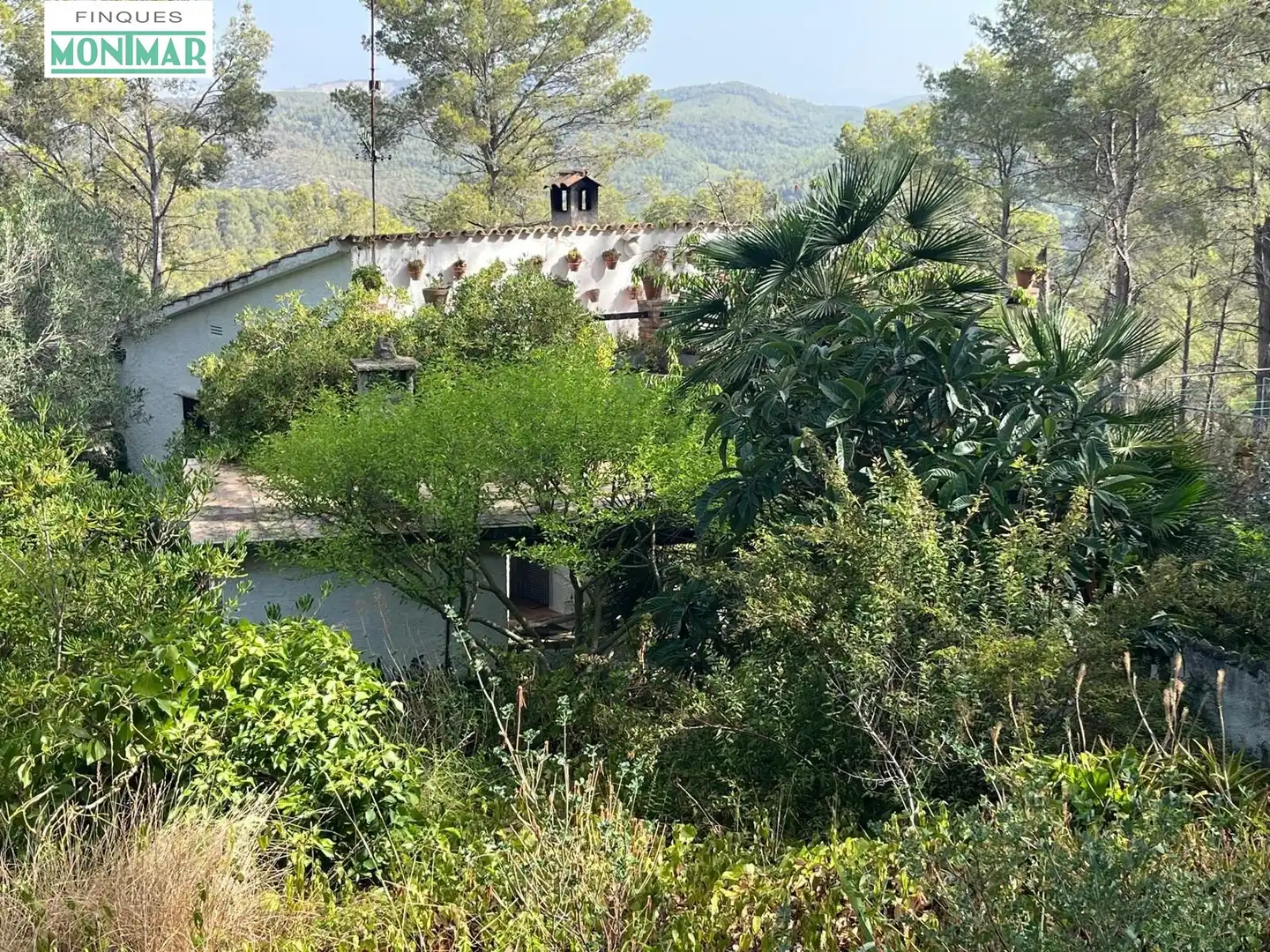 Jardín de Casa o chalet en venta en Sant Pere de Ribes con Jardín privado, Terraza y Trastero