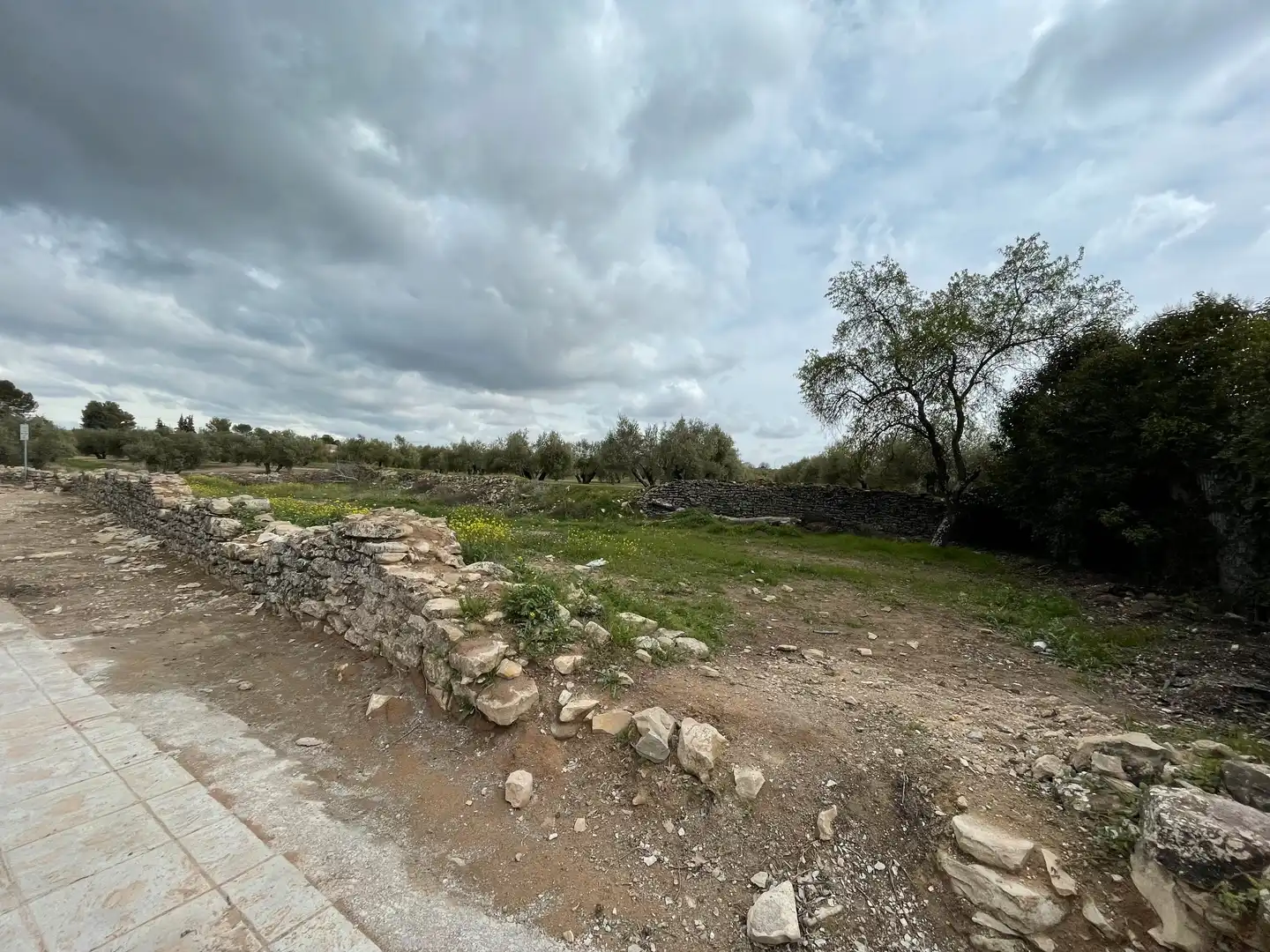 Terreni e lotti in vendita a Úbeda, imagen 5