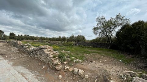 SE VENDE SOLAR EN SAN BARTOLOME, immagine 5