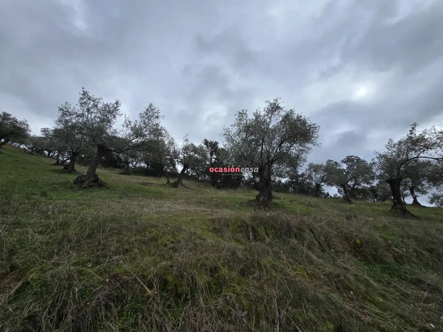 Casa rústica en venta en Pozoblanco, imagen 25