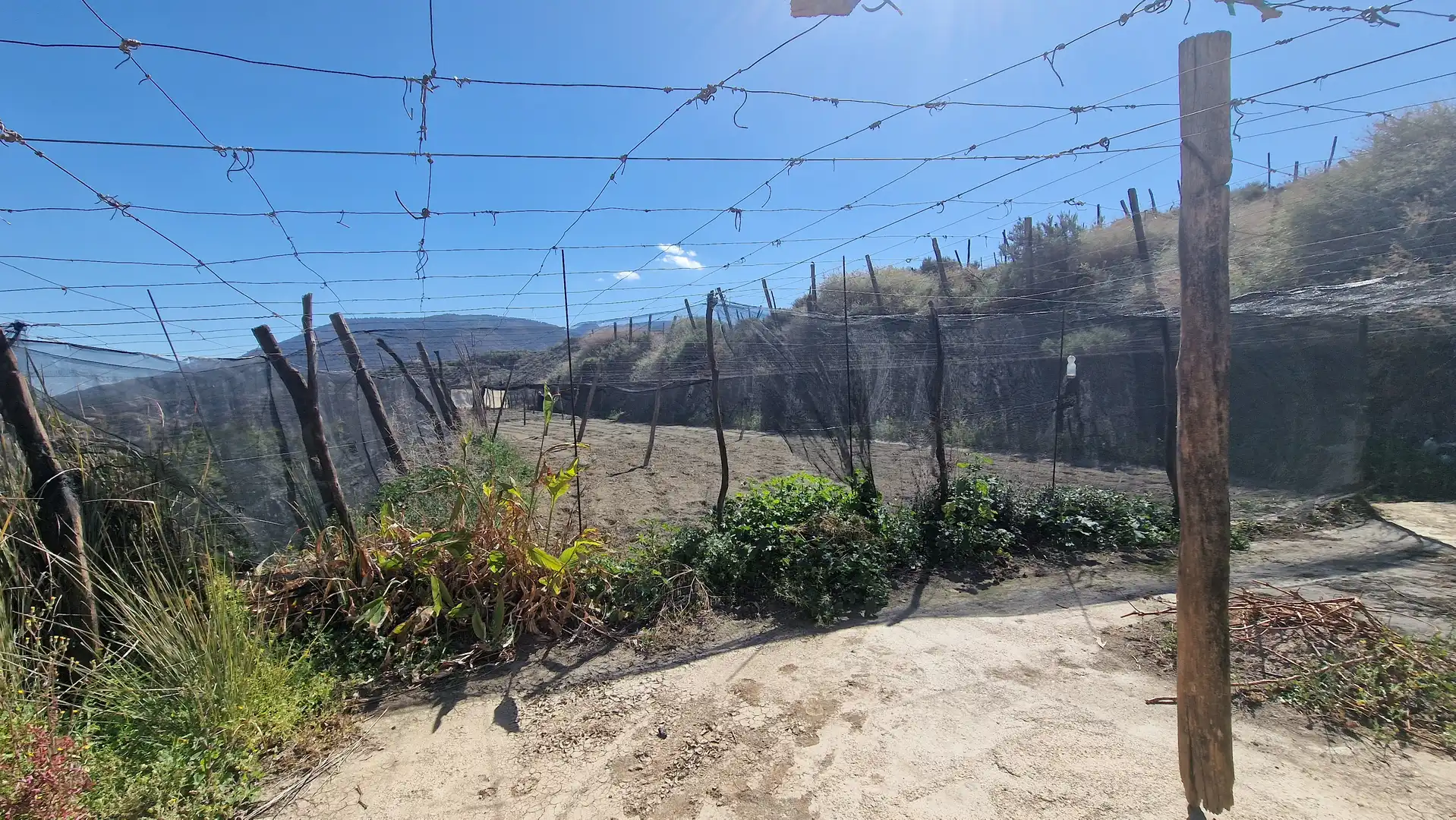 Finca rústica en venda en Canjáyar amb Jardí privat, Terrassa i Traster