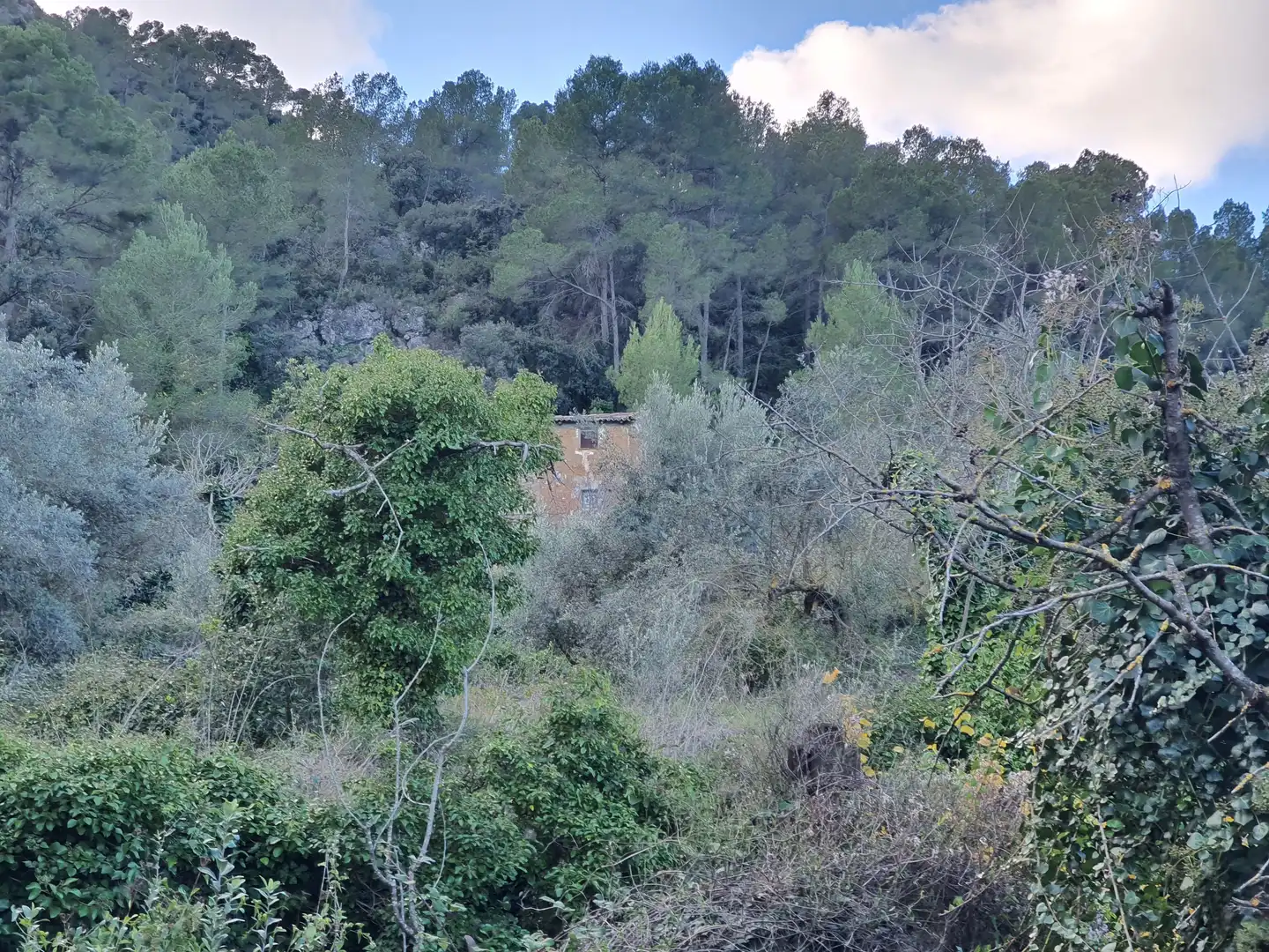 Casa en venta en Benifallet, imagen 58