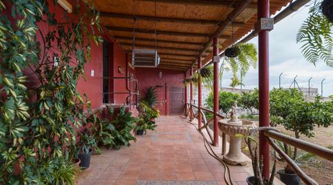 Photo 3 of Flat for sale in Firgas, Las Palmas