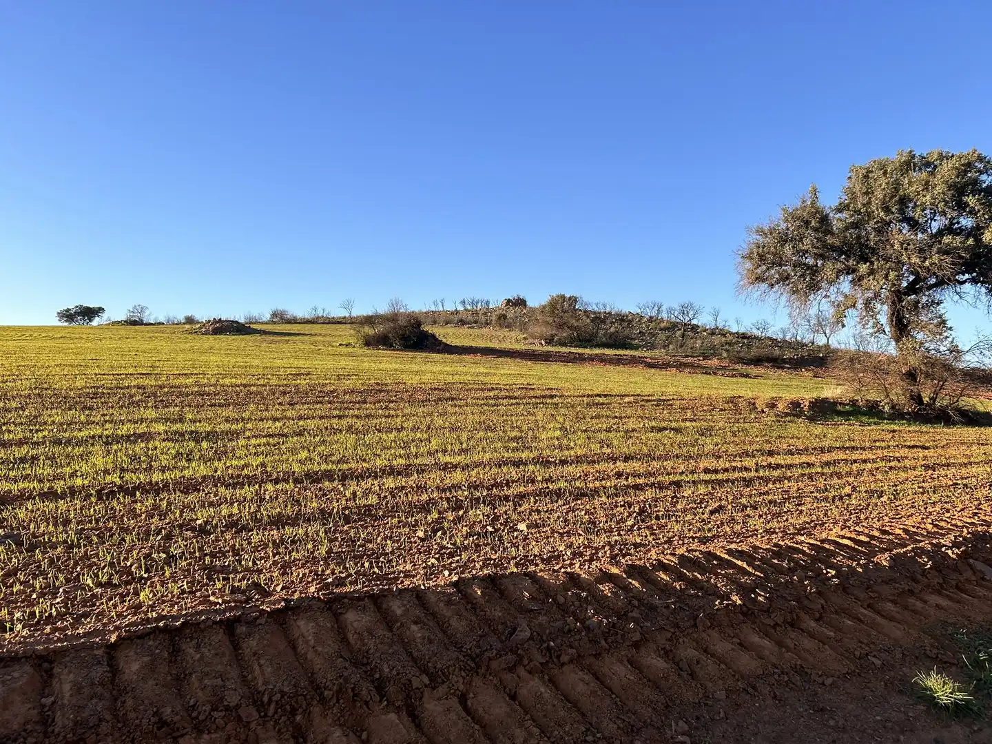 Terreny rústic en venda a Peraleda del Zaucejo, imagen 14