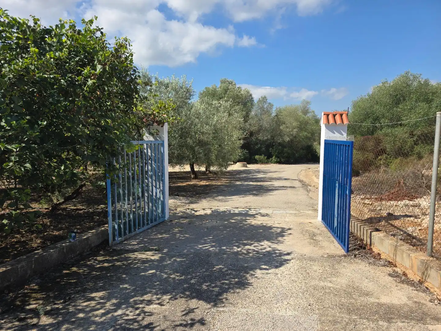 Finca rústica en venta en Freginals con Jardín privado