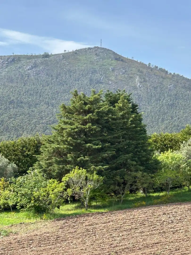 Vista exterior de Casa o xalet en venda en A Pobra do Caramiñal amb Calefacció, Terrassa i Traster