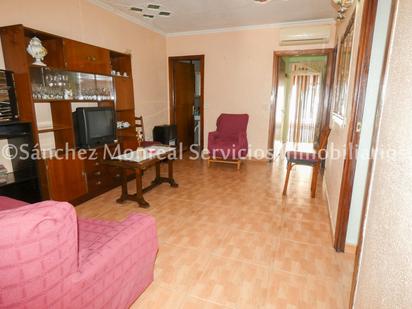 Sala d'estar de Casa o xalet en venda en Alcázar de San Juan amb Aire condicionat