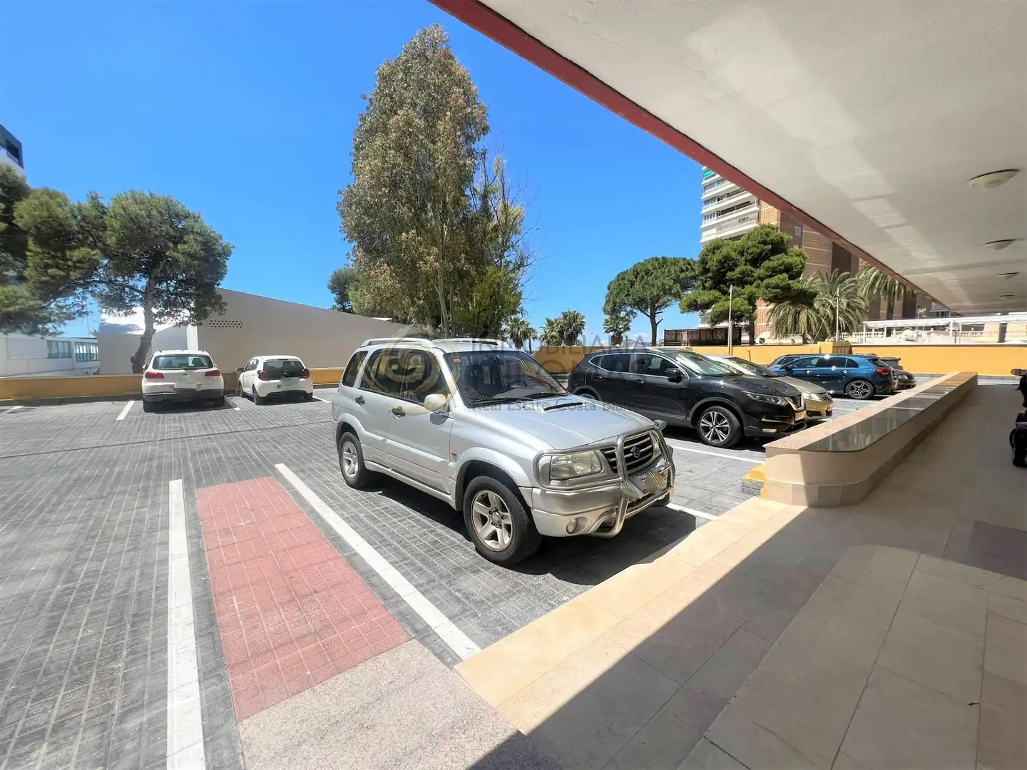 Apartments for rent in Avenida Avenida Mediterráneo, 66, Playa Levante