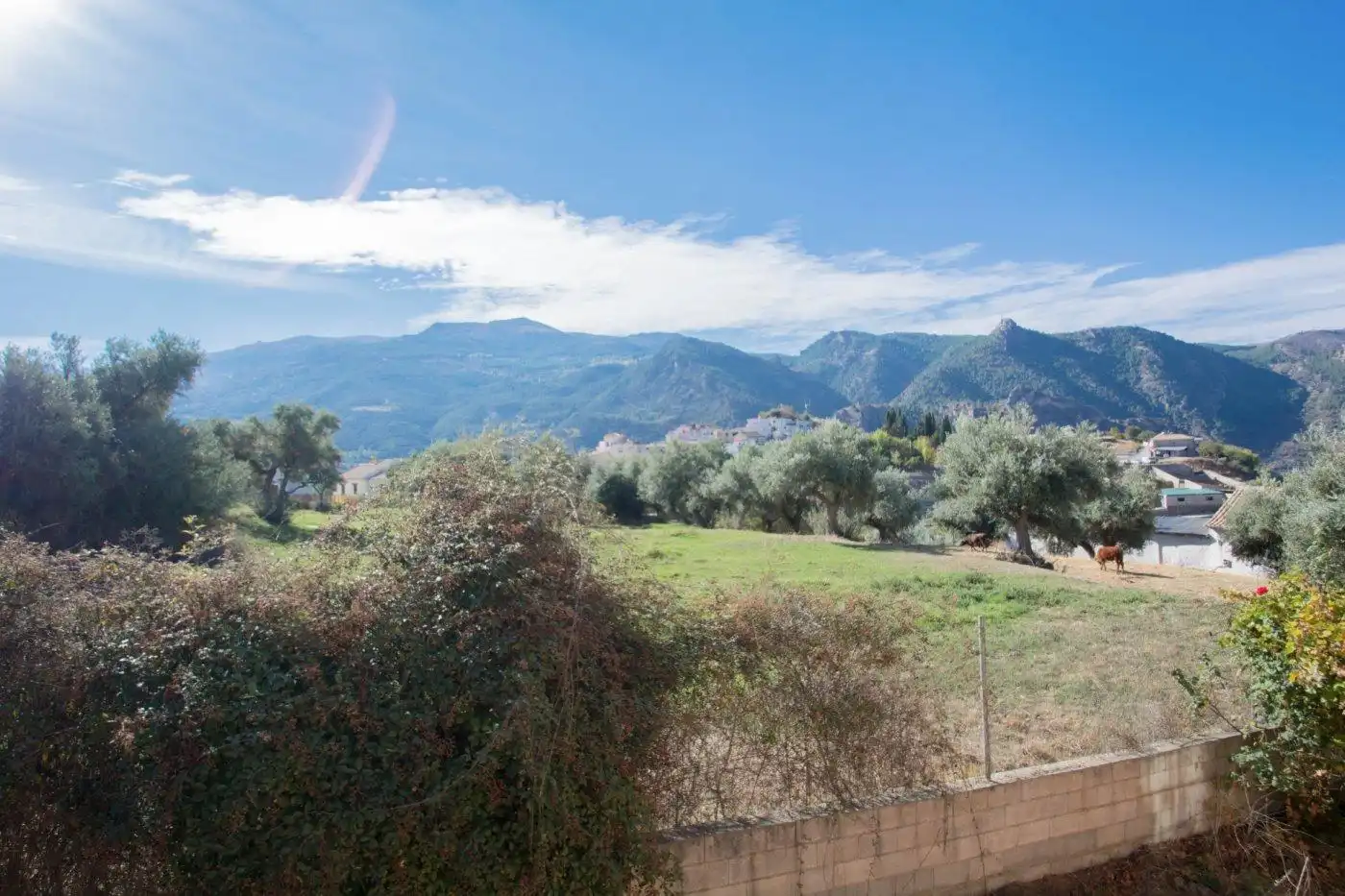 Villa con terrazza in vendita a Calle Fuente 16 Caños, imagen 57