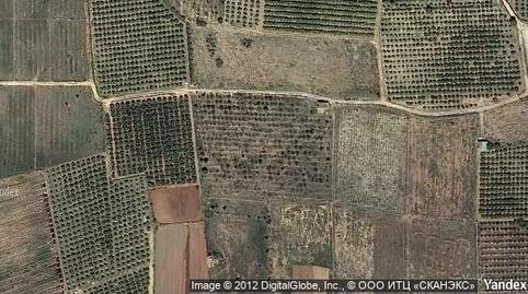 Foto 4 de Finca rústica en venta en Aldaia, Valencia