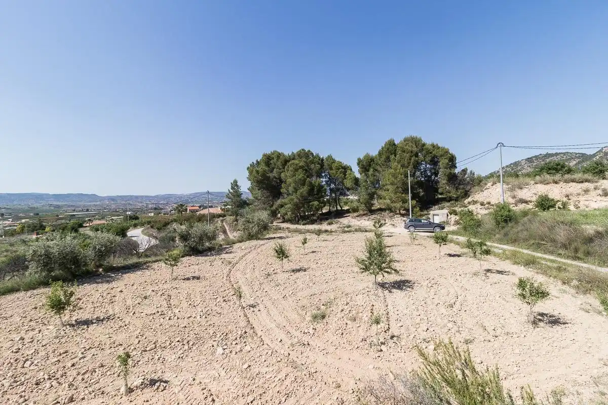 Terrenos y solares en venta en Pliego, imagen 5