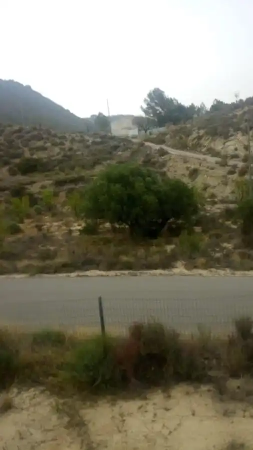 Finca rústica en venda en Ricote amb Moblat