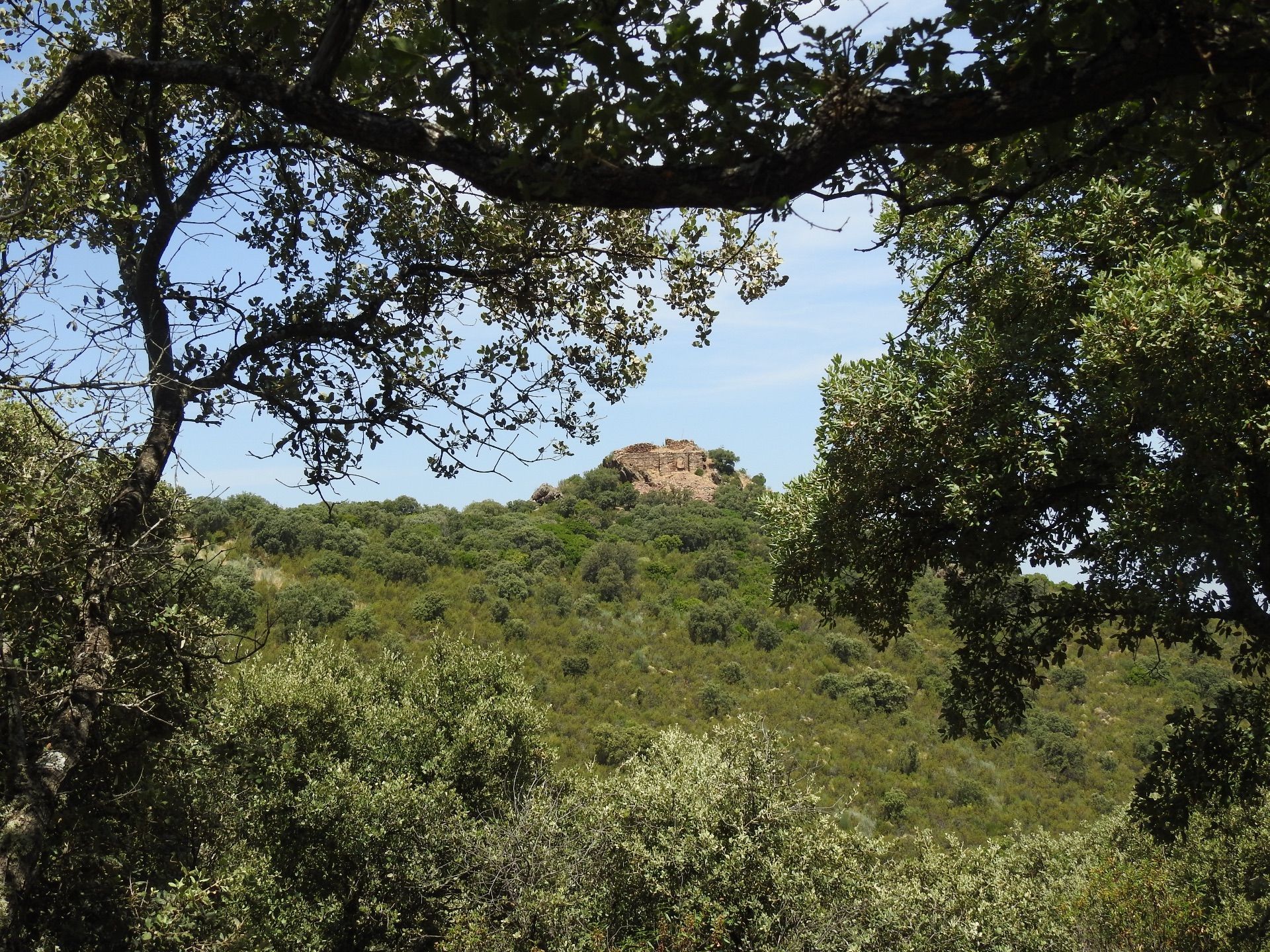 Land for sale in Villar del Pedroso