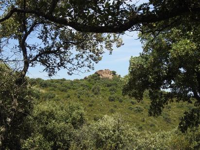 Land for sale in Villar del Pedroso