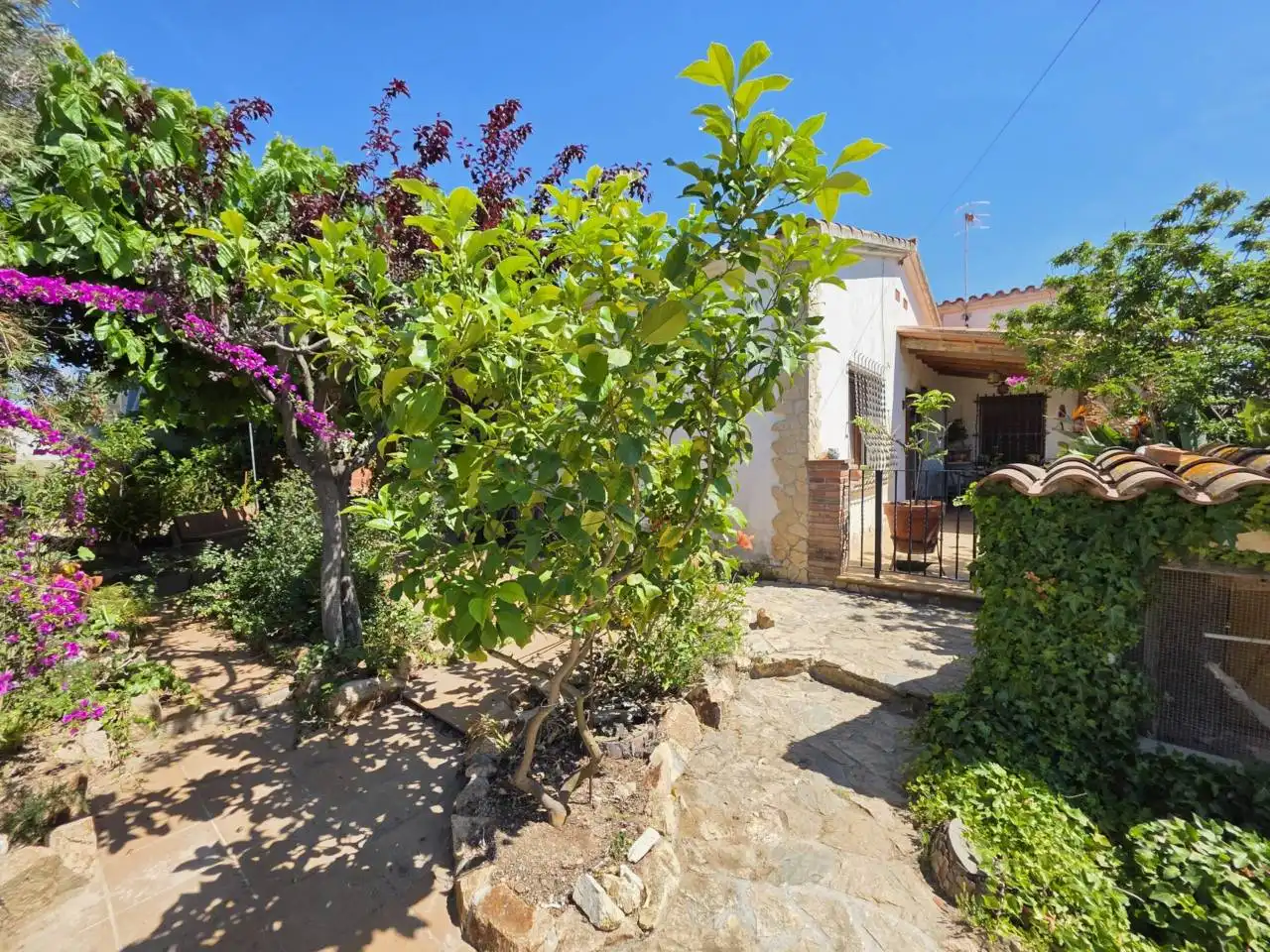 Jardí de Casa o xalet en venda en Malgrat de Mar amb Aire condicionat, Calefacció i Jardí privat
