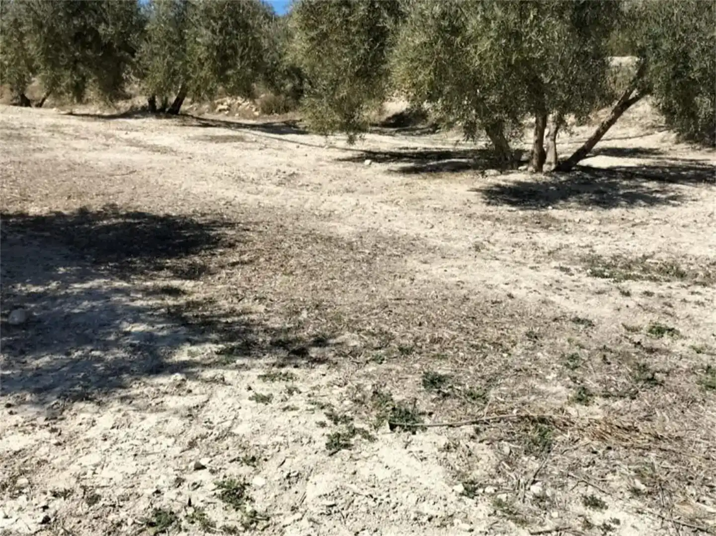 Terreno en venta en Huesa