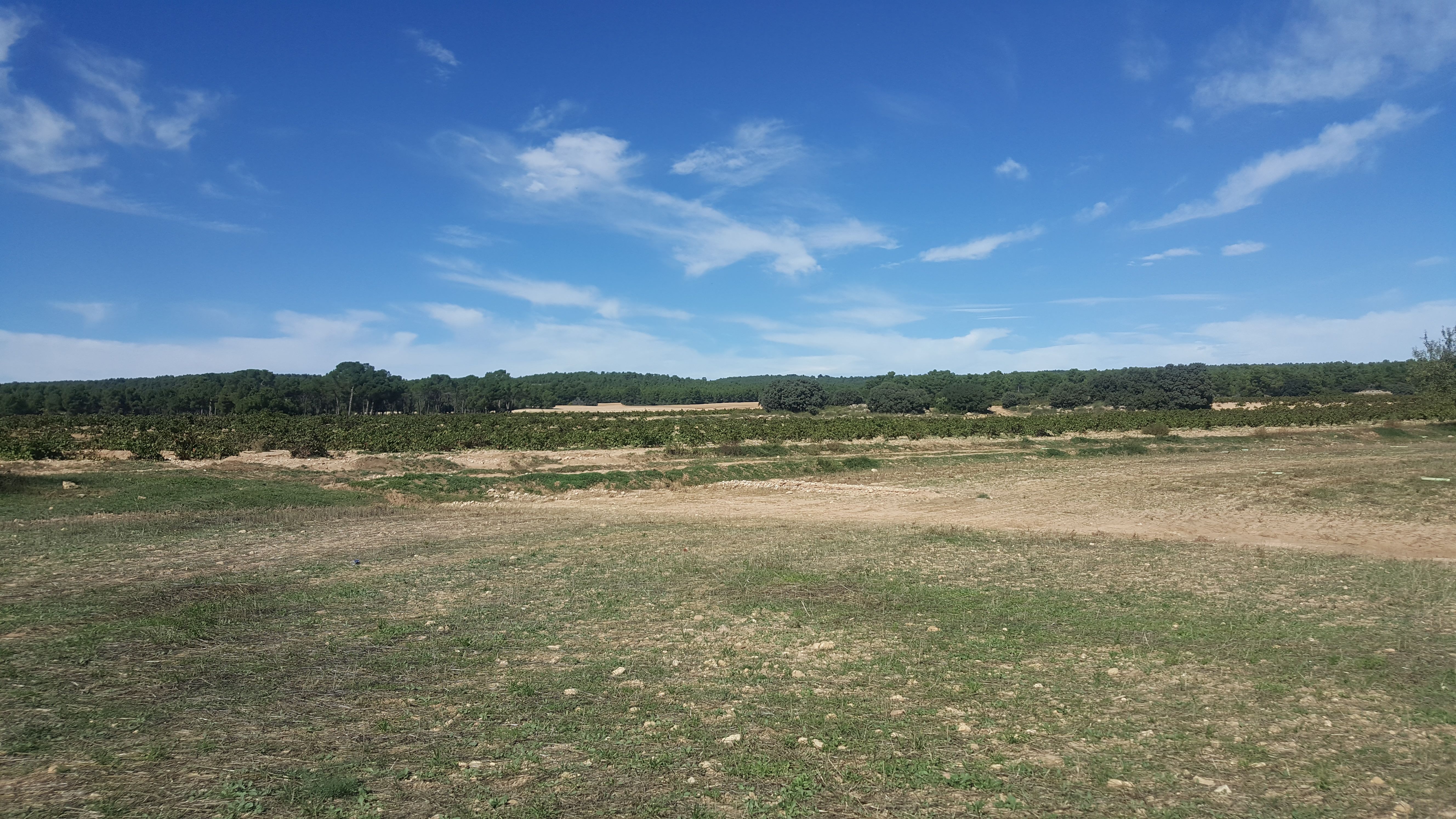 Land for sale in  Madrid Capital