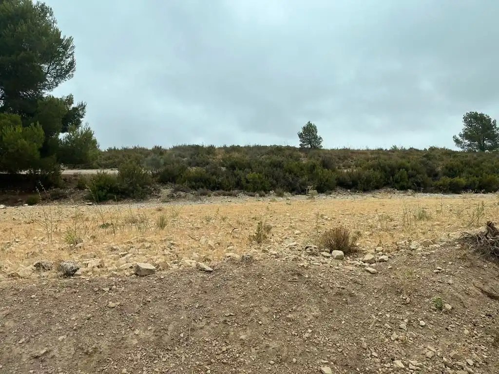 Grundstücke zum Verkauf in Peñas de San Pedro