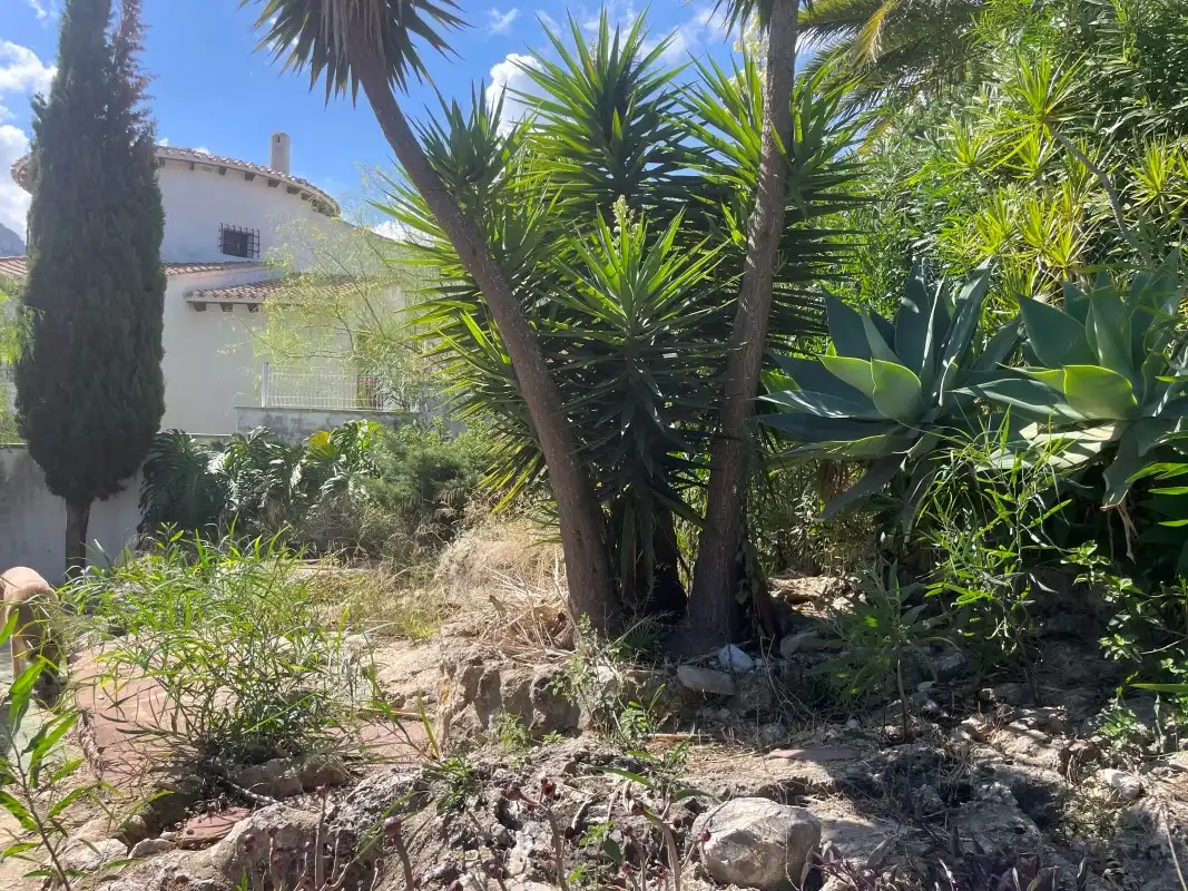 Villa con terrazza in vendita a Calle los Pinos, imagen 20