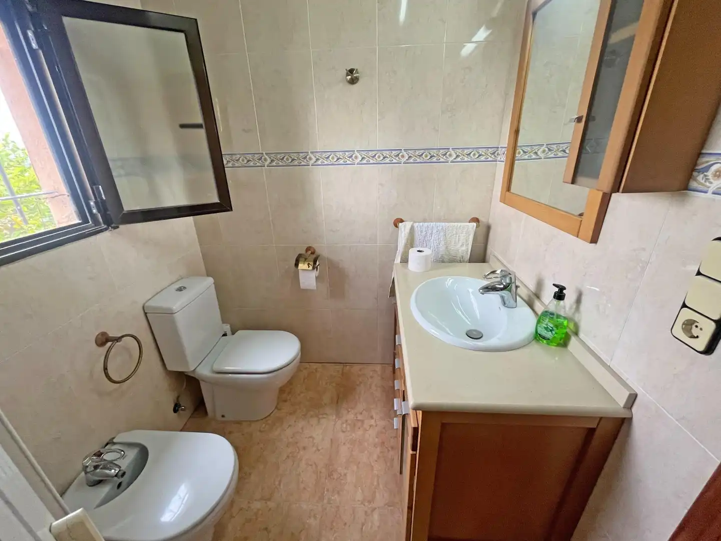Maison rustique à vendre à Partida CURA GONZALEZ, imagen 24