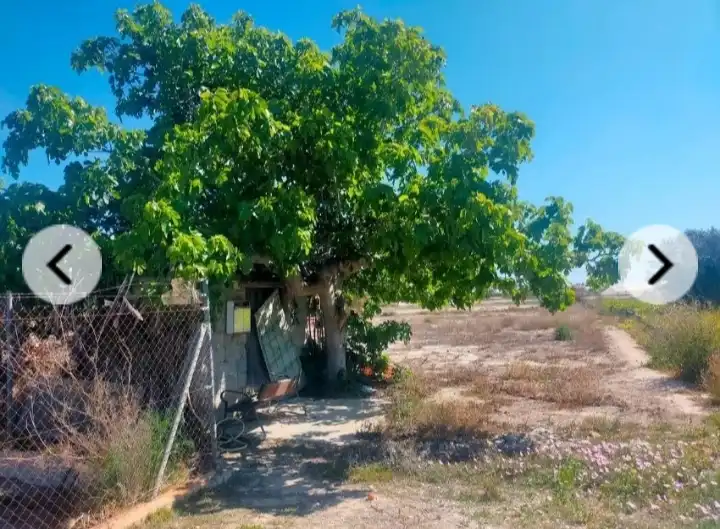 Rural land for sale in La Foia - Daimés - Asprella, imagen 6