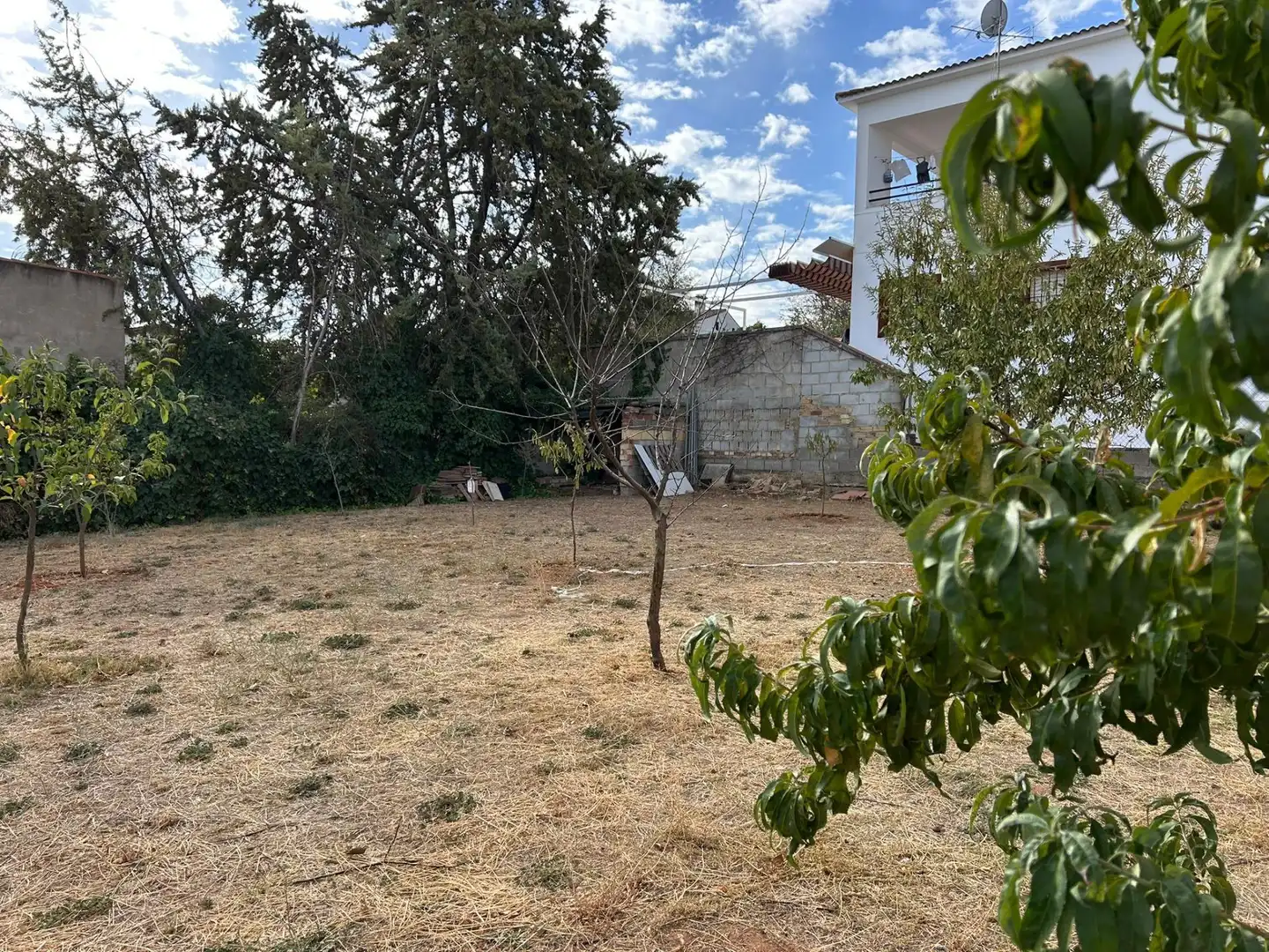 Lands and plots for sale in Mollina, imagen 8