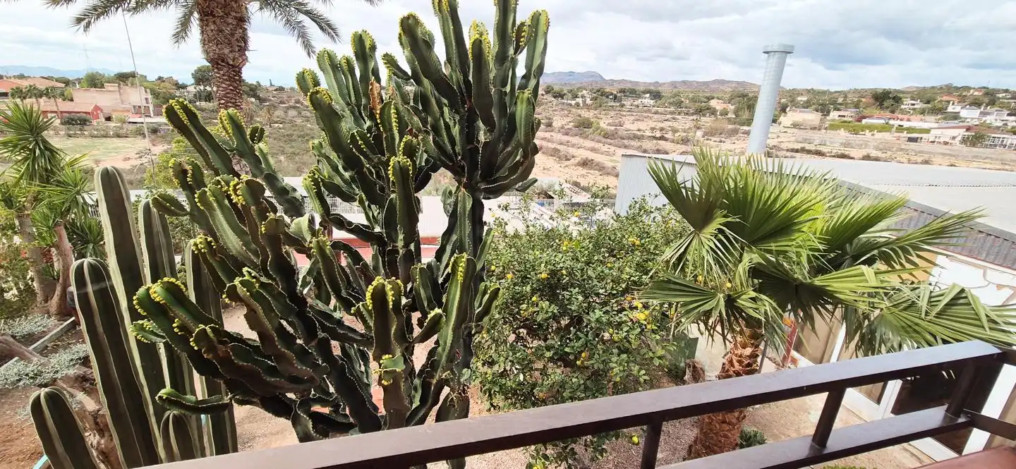Jardí de Casa o xalet en venda en Elche / Elx amb Aire condicionat, Jardí privat i Traster