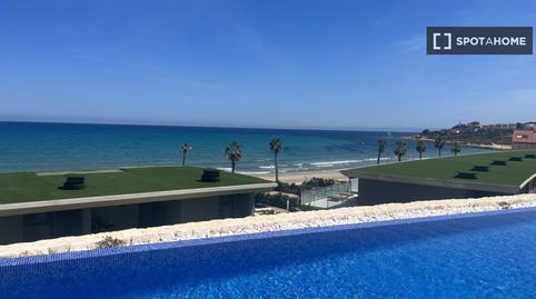 Photo 3 of Apartment to share in Cabo de las Huertas, Alicante / Alacant