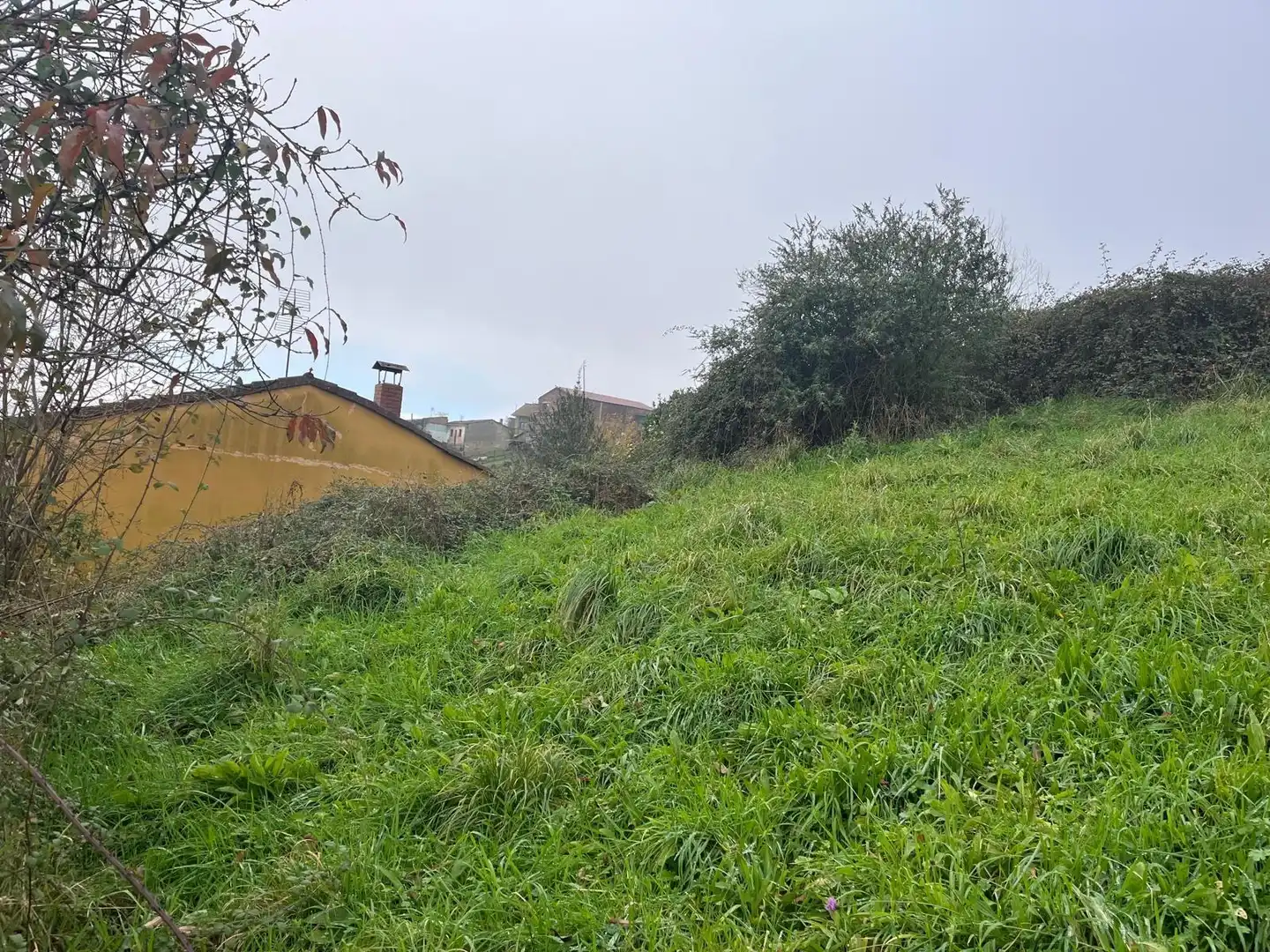 Residential land for sale in Polígono 11 Parcela 301 MATA LA FAME. LANGREO (AS 11, imagen 5