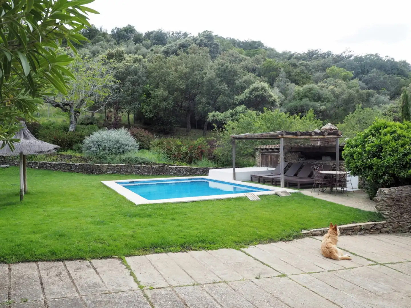 Houses for sale in Madroñera - LAS ANIMAS, Madroñera