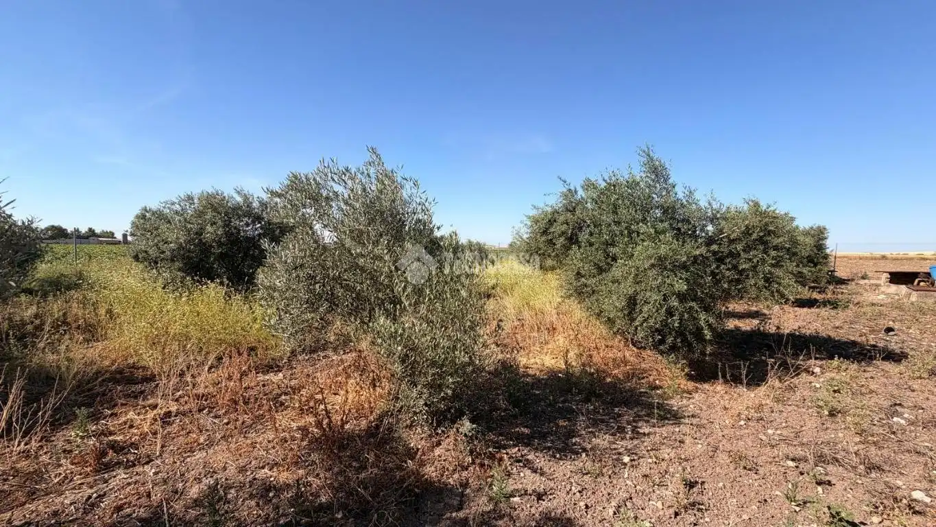 Terreno en venta en Paraje los los llanos, La Lantejuela