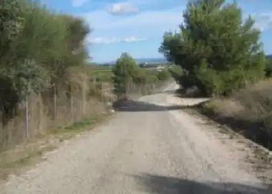 Rural land for sale in Partida Fuente de Canut, imagen 6