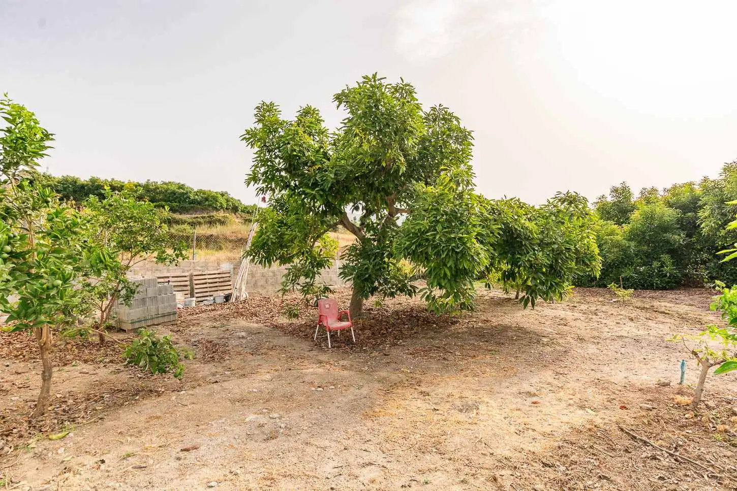 Terreni e lotti in vendita a Avda Pescia - Ctra de Frigiliana, imagen 12