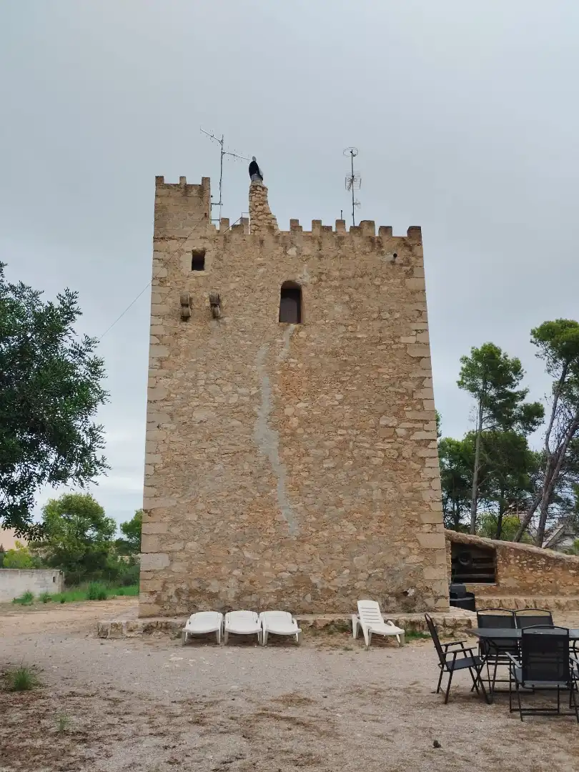 Vista exterior de Casa adosada en venda en Alcanar amb Parquet, Terrassa i Traster