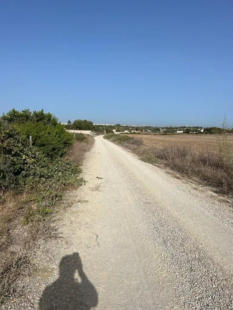 Wohnbaugrundstück zum Verkauf in Los Franceses – La Vega, imagen 8