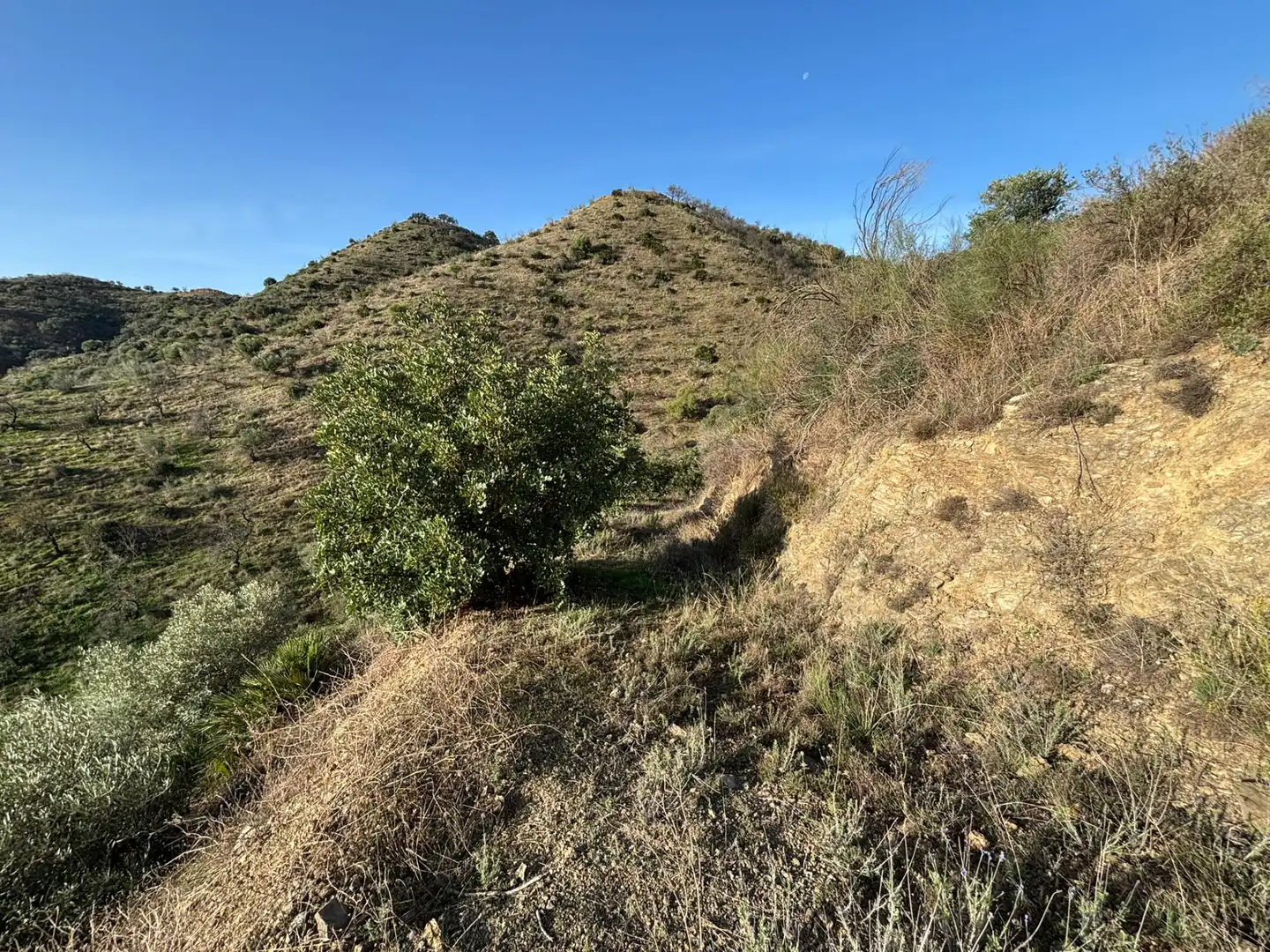 Terreno en venta en Cártama