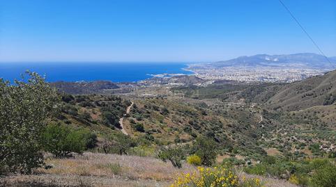 Foto 3 de Terreno en venta en Calle Altabaca, 2, Limonar, Málaga Capital