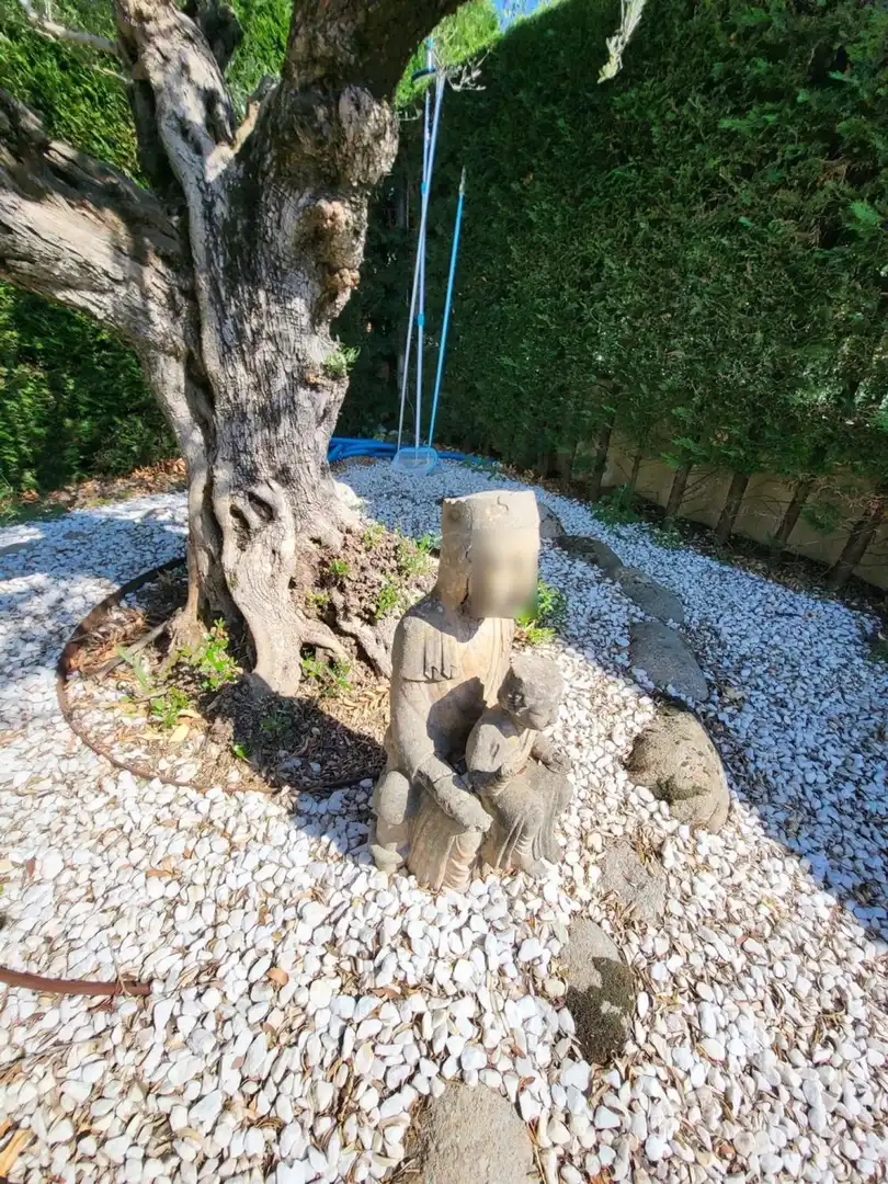 Detached house with pool for sale in Calle de Juli Cèsar, imagen 99