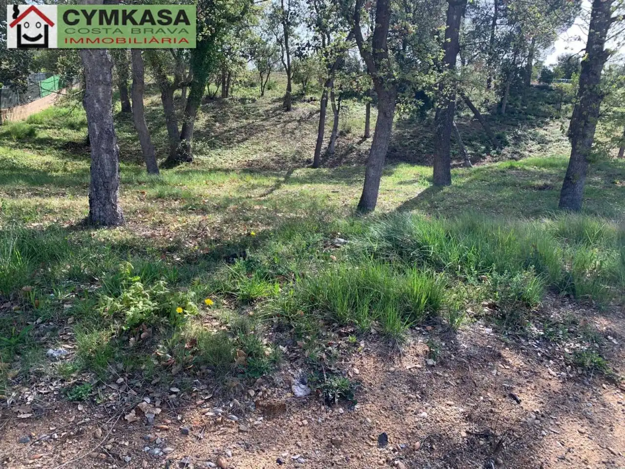 Terreno rústico en venta en Sils, imagen 5