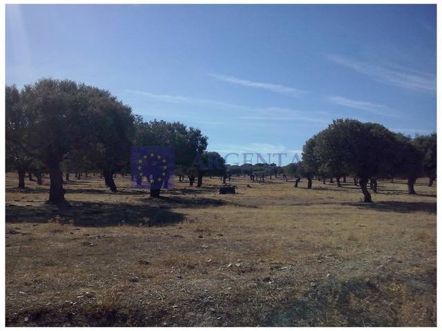 Casa-chalet en Venta en Herreruela