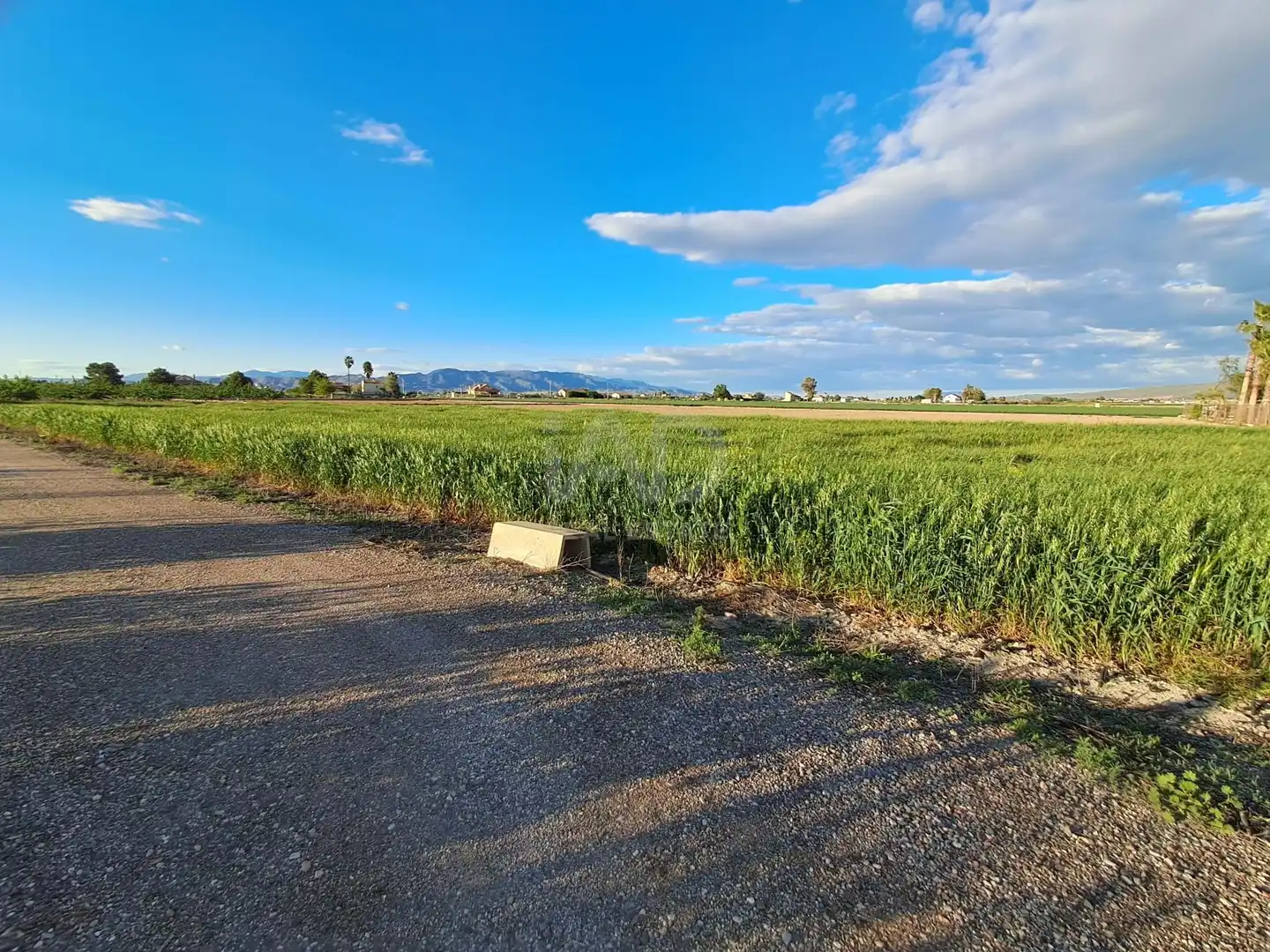 Residencial en venta en Lorca
