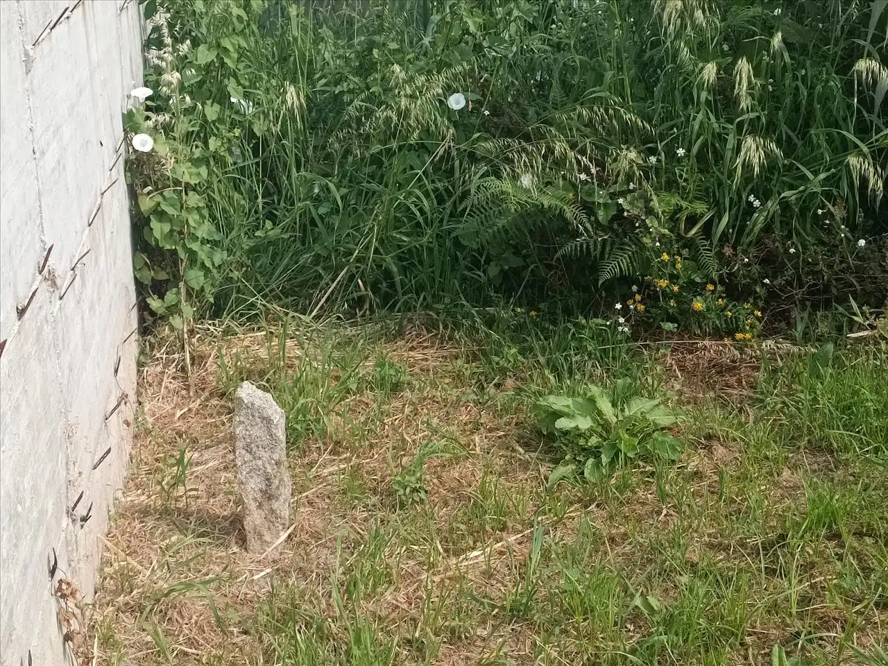 Terreni e lotti in vendita a Sanxurxo. Lugar Saianes  Apr A-1-11 Parcela 9, imagen 8