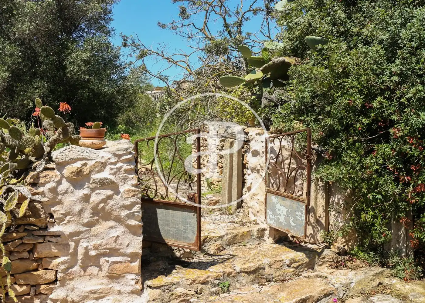 Jardín de Casa o chalet en venta en Formentera con Aire acondicionado, Calefacción y Jardín privado