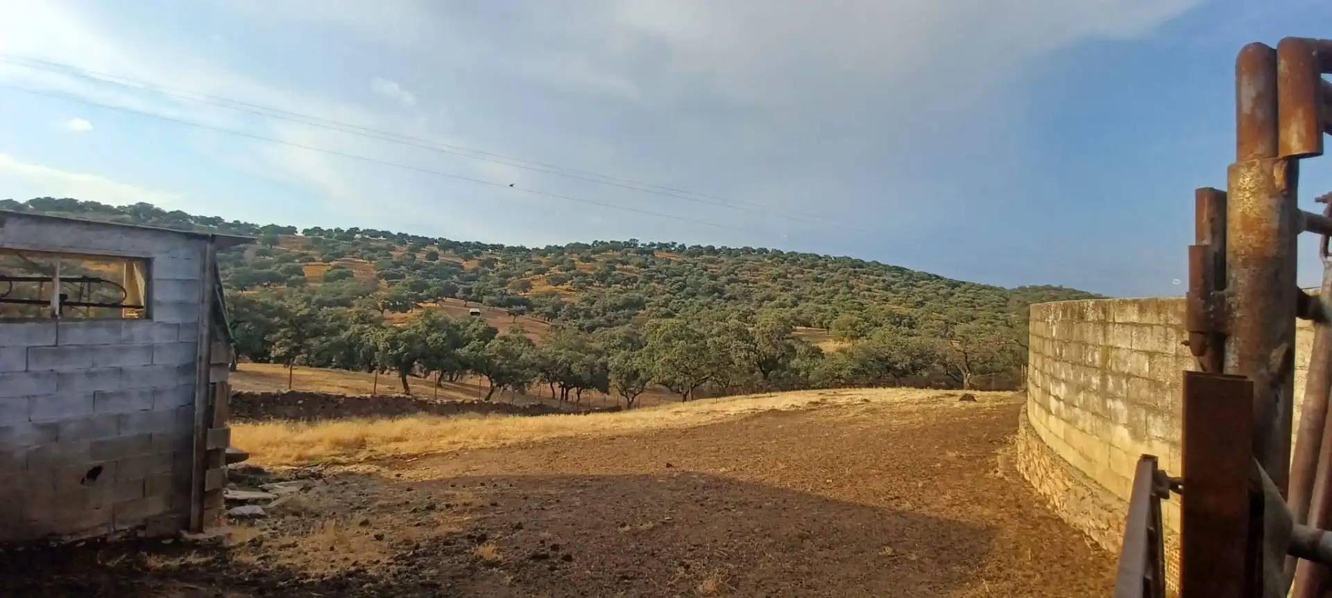 Terreny rústic en venda a Santa Olalla del Cala, imagen 39