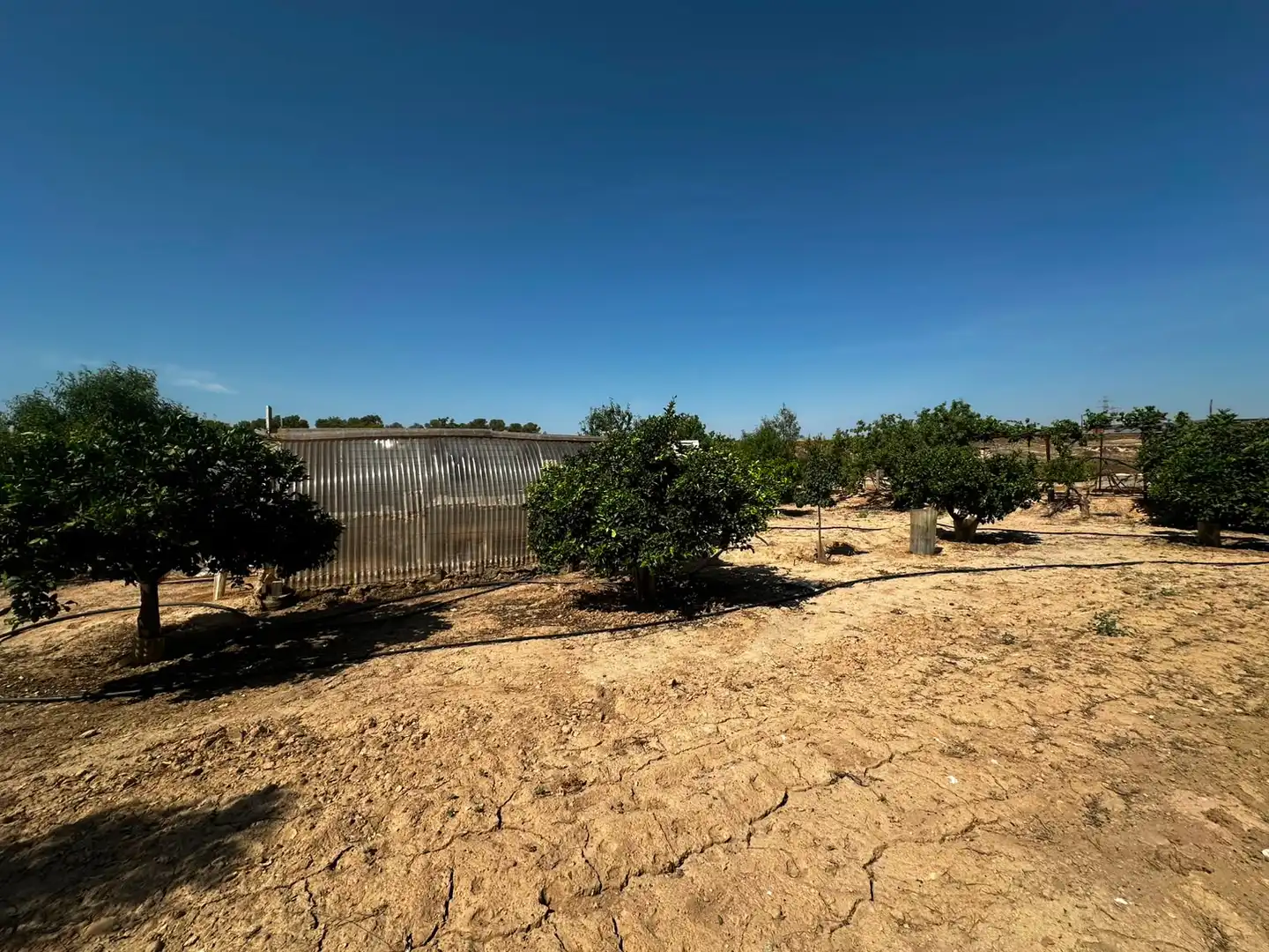 Terreno rústico en venta en Villamontes - Boqueres, imagen 5