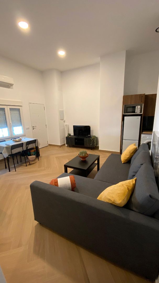 Living room of Study to rent in Málaga Capital  with Furnished