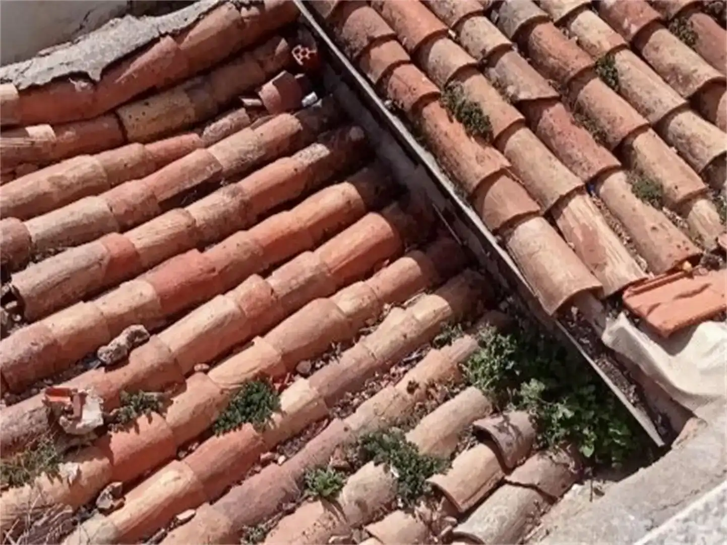 Terrassa de Planta baixa en venda en Valladolid Capital