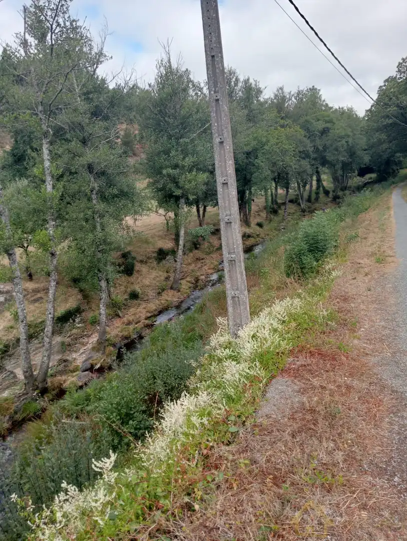 House for sale in Neira de Rey, imagen 4