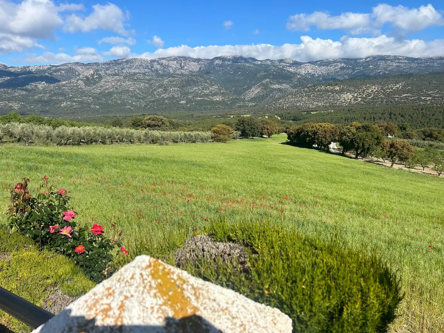 Garden of Country homes for sale in Pozo Alcón  with Private garden and Furnished