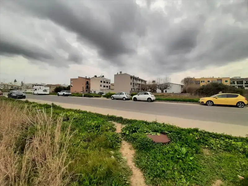 Terreny rústic en venda a Santa María del Camí